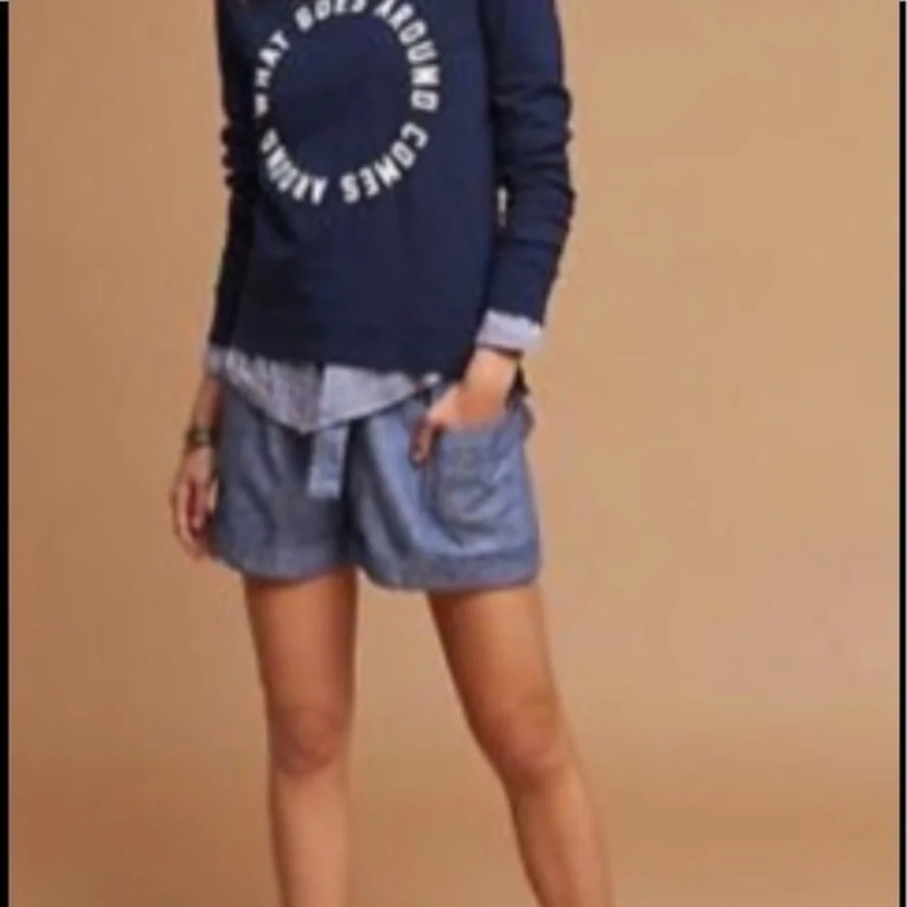 Anthropologie Hei Hei Marna shorts. Sz xs - Picture 2 of 7